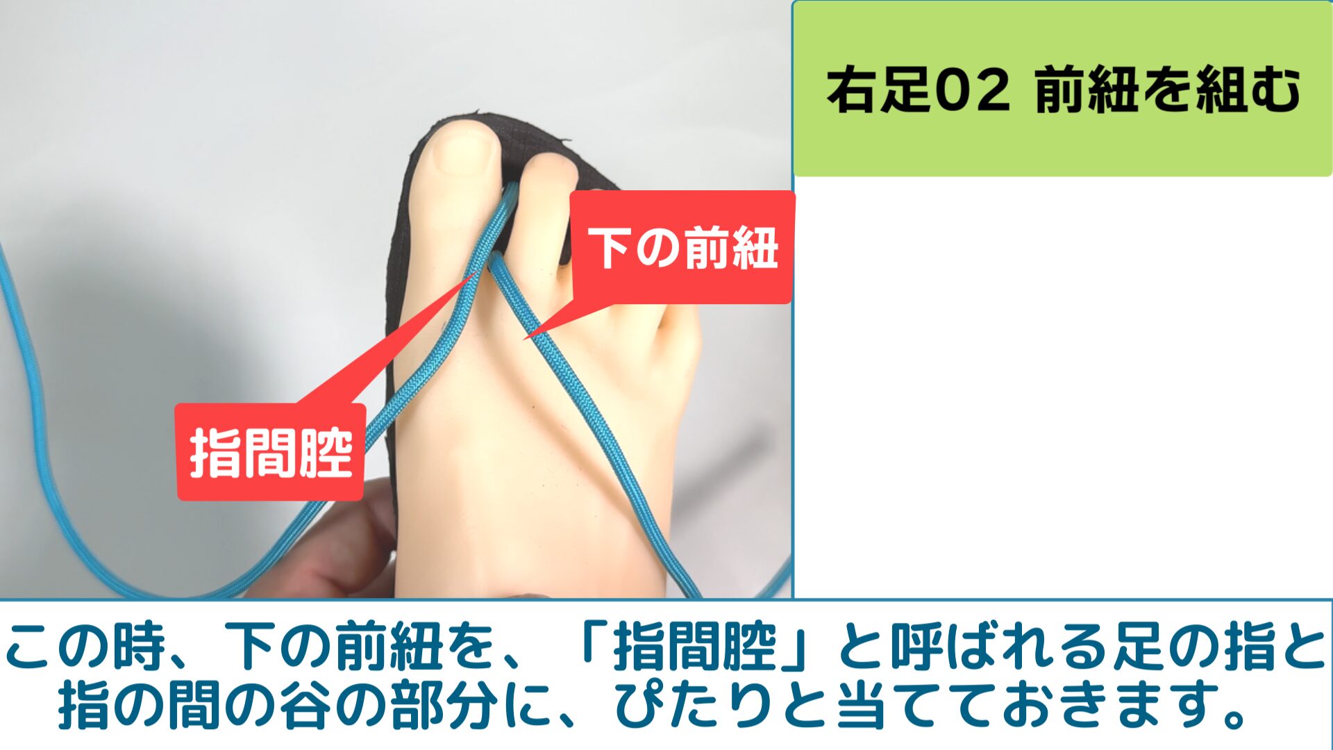 この時、下の前紐を、「指間腔」と呼ばれる足の指と指の間の谷の部分に、ぴたりと当てておきます。